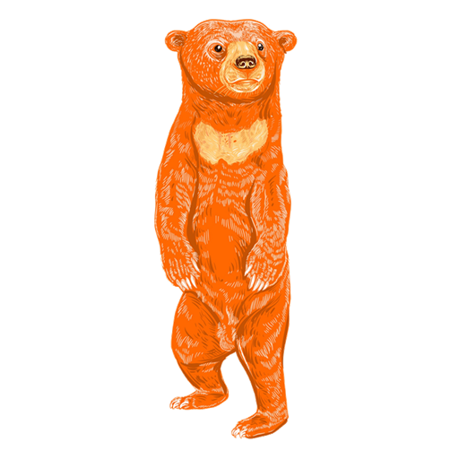 Orange Bear logo